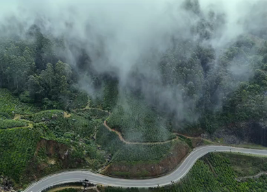 Aerial View of Scenic Mountain Roads and Tea Plantations in Munnar, Kerala, India