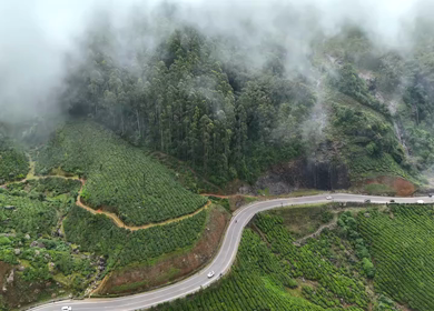 Aerial View of Scenic Mountain Roads and Tea Plantations in Munnar, Kerala, India