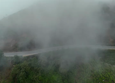 Aerial View of Scenic Mountain Roads and Tea Plantations in Munnar, Kerala, India
