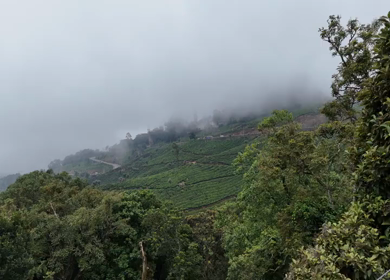 Aerial View of Scenic Mountain Roads and Tea Plantations in Munnar, Kerala, India