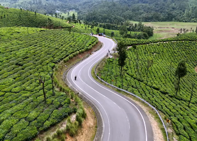Aerial View of Scenic Mountain Roads and Tea Plantations in Munnar, Kerala, India
