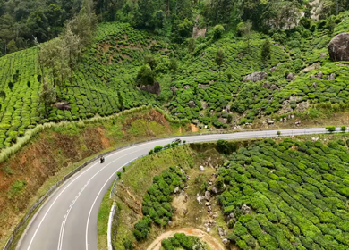 Aerial View of Scenic Mountain Roads and Tea Plantations in Munnar, Kerala, India