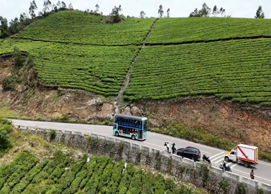 Aerial View of Scenic Mountain Roads and Tea Plantations in Munnar, Kerala, India