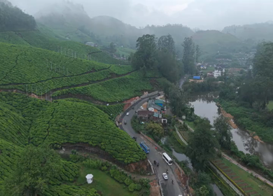 Aerial View of Scenic Mountain Roads and Tea Plantations in Munnar, Kerala, India