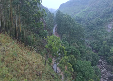 Aerial View of Scenic Mountain Roads and Tea Plantations in Munnar, Kerala, India