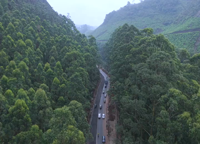Aerial View of Scenic Mountain Roads and Tea Plantations in Munnar, Kerala, India