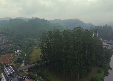 Aerial View of Scenic Mountain Roads and Tea Plantations in Munnar, Kerala, India
