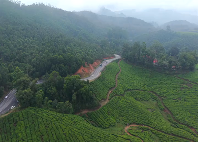 Aerial View of Scenic Mountain Roads and Tea Plantations in Munnar, Kerala, India