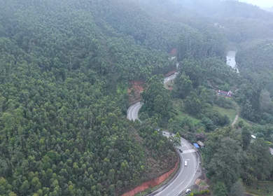 Aerial View of Scenic Mountain Roads and Tea Plantations in Munnar, Kerala, India