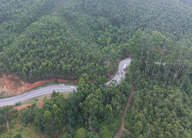 Aerial View of Scenic Mountain Roads and Tea Plantations in Munnar, Kerala, India