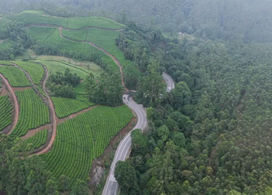 Aerial View of Scenic Mountain Roads and Tea Plantations in Munnar, Kerala, India