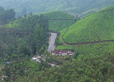 Aerial View of Scenic Mountain Roads and Tea Plantations in Munnar, Kerala, India