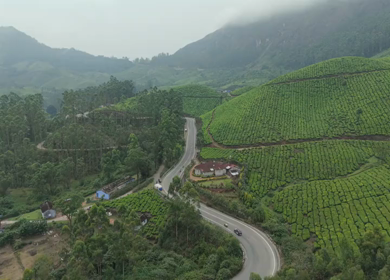 Aerial View of Scenic Mountain Roads and Tea Plantations in Munnar, Kerala, India