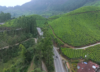 Aerial View of Scenic Mountain Roads and Tea Plantations in Munnar, Kerala, India