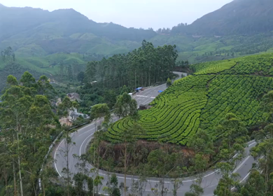 Aerial View of Scenic Mountain Roads and Tea Plantations in Munnar, Kerala, India