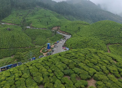 Aerial View of Scenic Mountain Roads and Tea Plantations in Munnar, Kerala, India