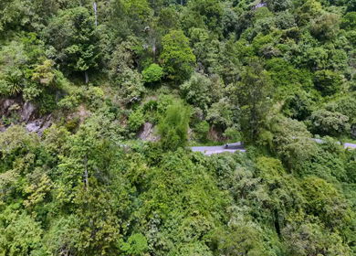 Aerial View of Scenic Mountain Roads and Tea Plantations in Munnar, Kerala, India