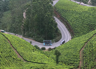 Aerial View of Scenic Mountain Roads and Tea Plantations in Munnar, Kerala, India