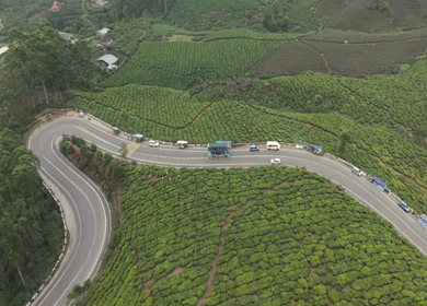 Aerial View of Scenic Mountain Roads and Tea Plantations in Munnar, Kerala, India