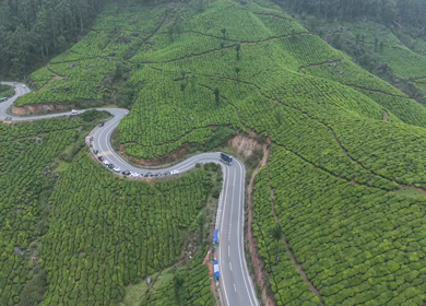 Aerial View of Scenic Mountain Roads and Tea Plantations in Munnar, Kerala, India