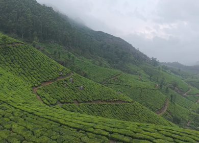 Aerial View of Scenic Mountain Roads and Tea Plantations in Munnar, Kerala, India