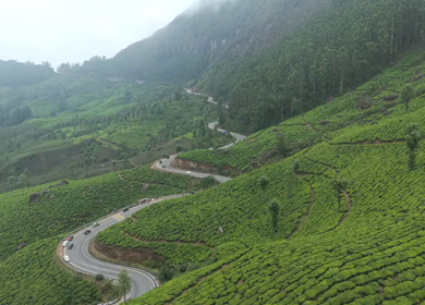 Aerial View of Scenic Mountain Roads and Tea Plantations in Munnar, Kerala, India