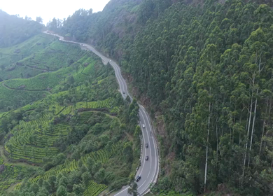 Aerial View of Scenic Mountain Roads and Tea Plantations in Munnar, Kerala, India