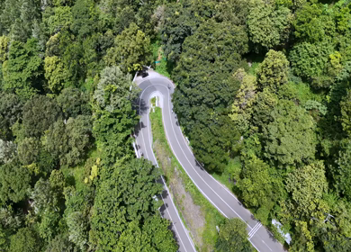 Aerial View of Scenic Mountain Roads and Tea Plantations in Munnar, Kerala, India