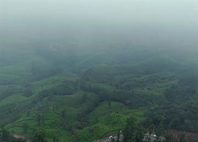 Aerial View of Scenic Mountain Roads and Tea Plantations in Munnar, Kerala, India