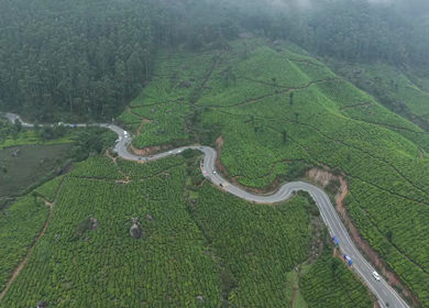 Aerial View of Scenic Mountain Roads and Tea Plantations in Munnar, Kerala, India
