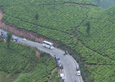 Aerial View of Scenic Mountain Roads and Tea Plantations in Munnar, Kerala, India