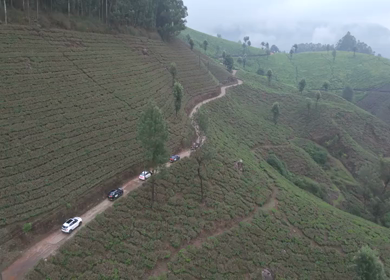 Aerial View of Scenic Mountain Roads and Tea Plantations in Munnar, Kerala, India