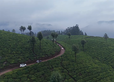 Aerial View of Scenic Mountain Roads and Tea Plantations in Munnar, Kerala, India