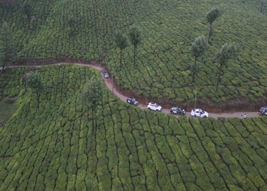 Aerial View of Scenic Mountain Roads and Tea Plantations in Munnar, Kerala, India