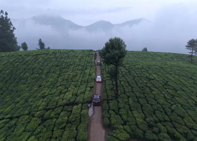 Aerial View of Scenic Mountain Roads and Tea Plantations in Munnar, Kerala, India