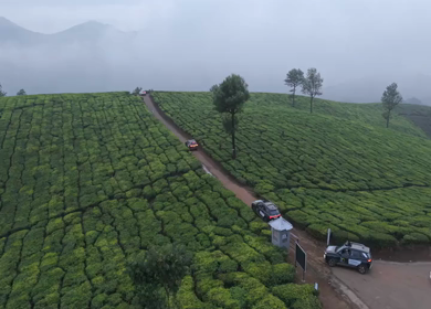Aerial View of Scenic Mountain Roads and Tea Plantations in Munnar, Kerala, India