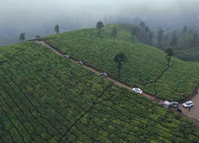 Aerial View of Scenic Mountain Roads and Tea Plantations in Munnar, Kerala, India