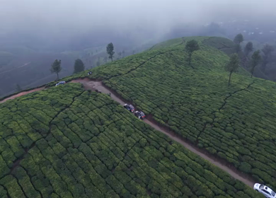 Aerial View of Scenic Mountain Roads and Tea Plantations in Munnar, Kerala, India