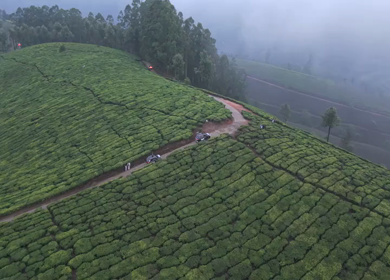 Aerial View of Scenic Mountain Roads and Tea Plantations in Munnar, Kerala, India