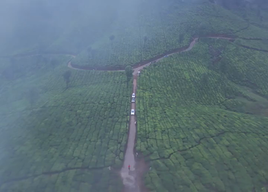 Aerial View of Scenic Mountain Roads and Tea Plantations in Munnar, Kerala, India
