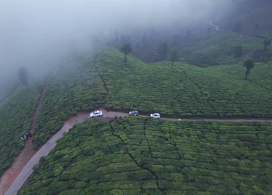 Aerial View of Scenic Mountain Roads and Tea Plantations in Munnar, Kerala, India