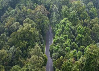 Aerial View of Sharavati Valley and Misty Western Ghats, Karnataka
