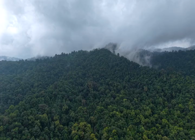 Aerial View of Sharavati Valley and Misty Western Ghats, Karnataka
