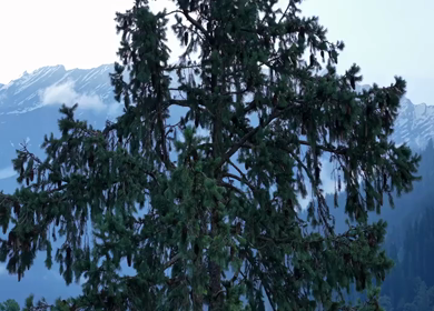 Aerial View of Solang Valley Manali Himachal Pradesh India