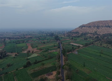 Aerial View of South Goa Countryside and Agricultural Fields Goa