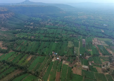 Aerial View of South Goa Countryside and Agricultural Fields Goa