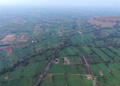 Aerial View of South Goa Countryside and Agricultural Fields Goa