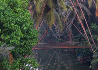 Aerial View of Suspension Footbridge over Honnavar Backwaters Karnataka