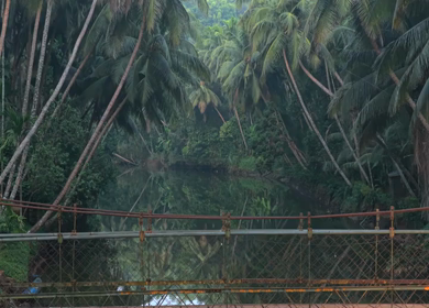 Aerial View of Suspension Footbridge over Honnavar Backwaters Karnataka