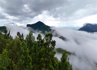 Aerial View of Top Station and Misty Western Ghats Mountains in Munnar, Kerala, India